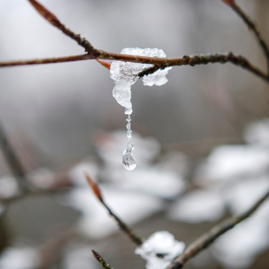 Defrosting
