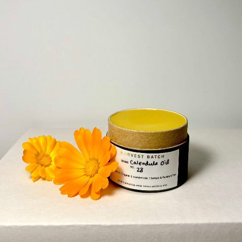 Calendula Salve *Harvest Batch*