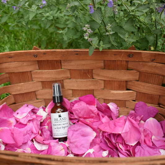 Island Apothecary | Wild-crafted beach rose water hydrosol | Maine made